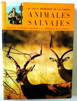 Imagen del vendedor de Animales salvajes de Africa Oriental a la venta por Librera Salvalibros Express