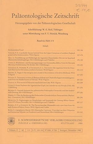 Image du vendeur pour Palontologische Zeitschrift. Band 62, Heft 3/4, 1988. Herausgegeben von der Palontologischen Gesellschaft. Inhalt: Ein bes. Fossil / P.D. Taylor-A probable thecate hydroid from the Upper Cretaceous of southern England preserved by bioimmuration ( 3 fig.) / A. May-Fossilfhrung und Palkologie des lagunren Massenkalkes (Devon) im Sauerland (Rhein. Schiefergebirge, mit 6 Abb.und 4 Tab.) / E. Voigt-Wachstums- und Knospungsstrategie von Grammothoa filifera Voigt & Hillmer (Bryozoa, Cheilostomata, Ob. Kreide, mit 5 Abb.) / K. Fauchald, W. Strmer & E.L. Yochelson- Two worm-like organisms from the hunsrck slate (Lower Devonian), southern Germany (8 fig.) / K. Bandel-Stages in the ontogeny and a model of the evolution of bivalves (Mollusca, with 21 fig.) / E. Savazzi-Taxonomic revision of Mauryna bellardi and Chedevillia begiati (strombid gastropods) from the Middle Eocene of NE Italy (19 fig.) / A. Galacz- First record pf Paleocene nautiloids from Cuba (3 fig.) / F. Ltke- Erster Nachwei mis en vente par Antiquariat Carl Wegner