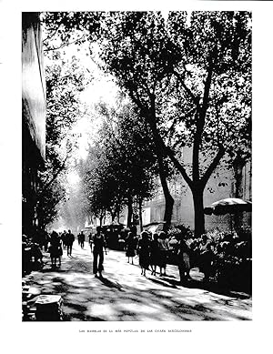Bild des Verkufers fr LAMINA 6319: Las Ramblas la mas popular de las calles Barcelonesas zum Verkauf von EL BOLETIN