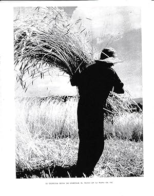 Bild des Verkufers fr LAMINA 6369: Cosecha del trigo en la plana de Vic zum Verkauf von EL BOLETIN
