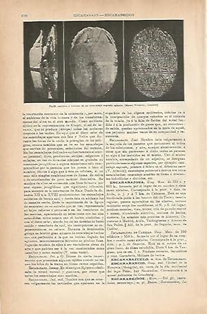 Imagen del vendedor de LAMINA ESPASA 18862: Escarabajo del Antiguo Egipto a la venta por EL BOLETIN