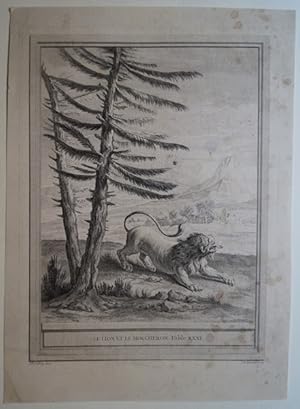 Seller image for Le Lion et le Moucheron. Fable XXXI. Original Kupferstich von Jean-Baptiste Oudry zu den Fabeln von La Fontaine. Paris 1755. for sale by Treptower Buecherkabinett Inh. Schultz Volha