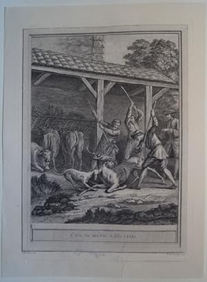 Seller image for L OEIL DU Matre. Fable LXXXI. Original Kupferstich von Jean-Baptiste Oudry zu den Fabeln von La Fontaine. Paris 1755. for sale by Treptower Buecherkabinett Inh. Schultz Volha