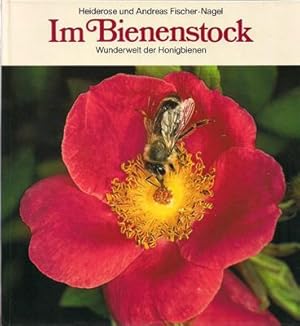 Bild des Verkufers fr Im Bienenstock - Wunderwelt der Honigbienen zum Verkauf von PRIMOBUCH