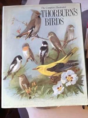 Thorburn's Birds