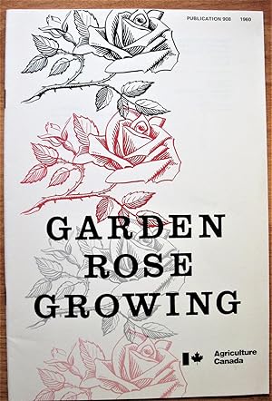 Garden Rose Growing