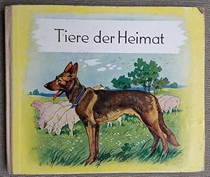 Imagen del vendedor de Tiere der Heimat a la venta por Bingo Used Books