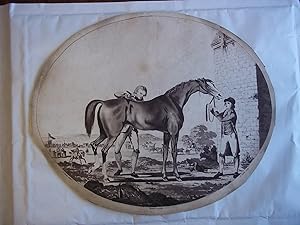 The Life and Death of a Racehorse. A Complete Set of Six Uncoloured Oval Aquatint Illustrations.