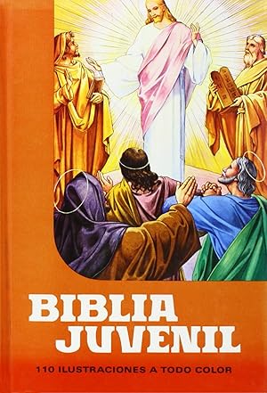 Imagen del vendedor de Biblia Juvenil 1 tomo Mod. 1 a la venta por Imosver
