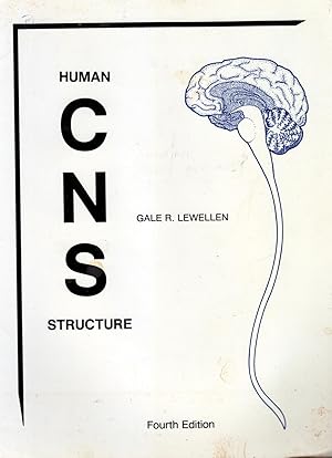 Human CNS Structure