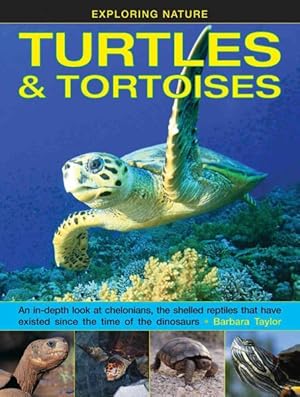 Imagen del vendedor de Turtles & Tortoises : An In-depth Look at Chelonians, the Shelled Reptiles That Have Existed Since the Time of the Dinosaurs a la venta por GreatBookPrices