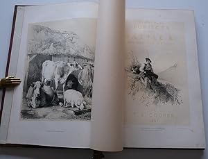 THIRTY FOUR SUBJECTS OF CATTLE & c. Designs for Pictures.