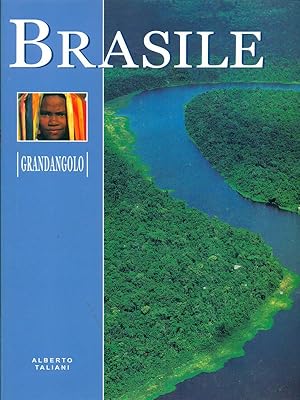 Bild des Verkufers fr Brasile zum Verkauf von Librodifaccia