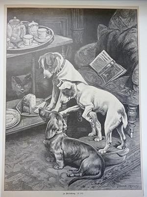 Bild des Verkufers fr Orig. Holzstich - Hunde - In Versuchung. zum Verkauf von Allguer Online Antiquariat