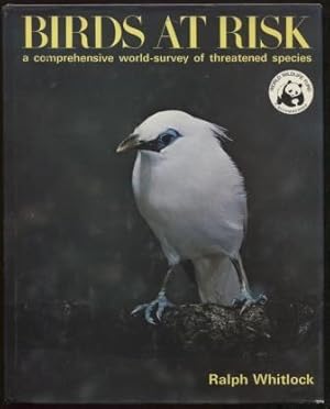 Seller image for Birds at Risk for sale by E Ridge Fine Books