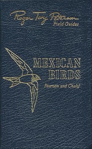 Mexican Birds