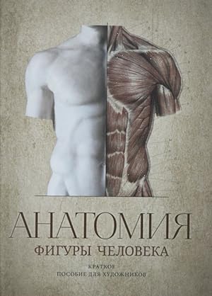 Anatomija figury cheloveka. Kratkoe posobie dlja khudozhnikov