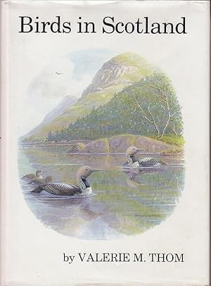 Birds in Scotland