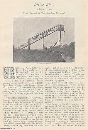 Imagen del vendedor de Diving Elks. An uncommon original article from The Strand Magazine, 1898. a la venta por Cosmo Books