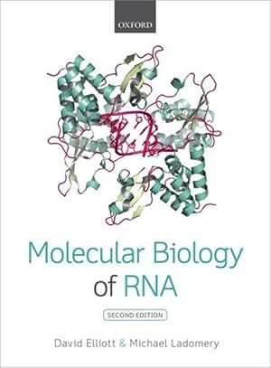 Seller image for Molecular Biology of RNA (Paperback) for sale by Grand Eagle Retail