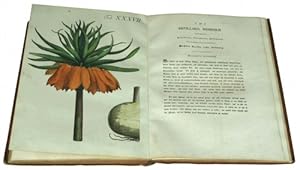 Abbildung und populäre Beschreibung von acht und vierzig Giftpflanzen, für Jedermann, der nicht B...