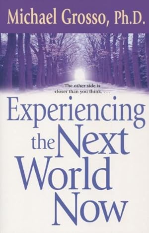 Imagen del vendedor de Experiencing the Next World Now a la venta por Kenneth A. Himber