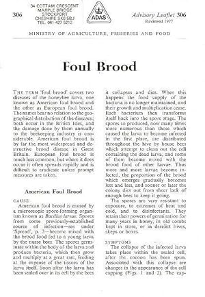 Foul Brood. Advisory Leaflet No. 306.