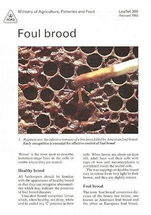 Foul Brood. Leaflet 306.