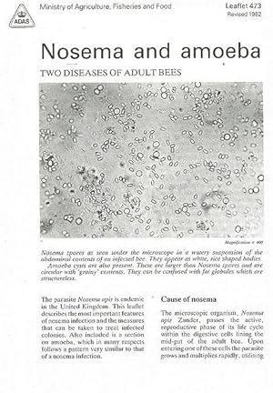 Nosema and Amoeba. Leaflet 473.