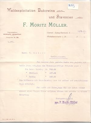 Schreiben F. Moritz Müller 1909 Leipzig-Eutritzsch Waldexploitation Bukowina und Slavonien