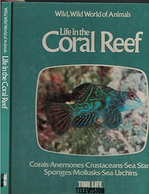 Life In The Coral Reef