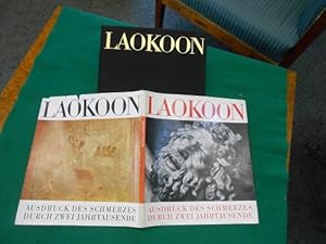 Laokoon. Ausdruck des Schmerzes durch 2 Jahrtausende.