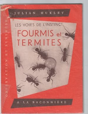 Fourmis et termites