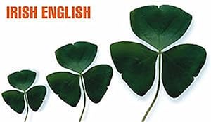 Seller image for Irish-English, English-Irish Dictionary for sale by M.Roberts - Books And ??????