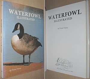 Waterfowl Illustrated