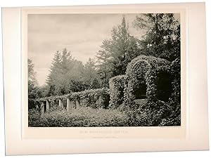 Photographie Fotografie von Otto Rau in Heliogravüre auf Kupferdruck-Karton