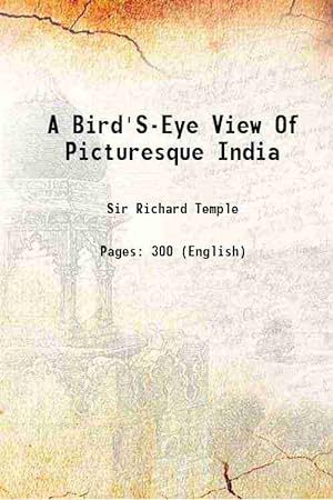 Architectural view in birdeye Indian ink - ArtofCaelia