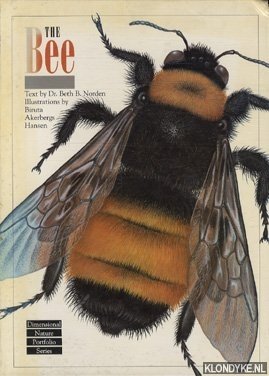 Bild des Verkufers fr The bee zum Verkauf von Klondyke