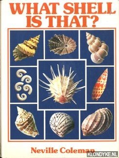 Seller image for What shell is that? for sale by Klondyke
