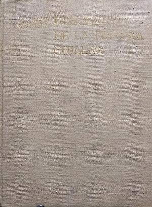 Seller image for Historia de la pintura chilena for sale by Librera Monte Sarmiento