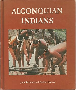 Bild des Verkufers fr Algonquian Indians at Summer Camp zum Verkauf von The Book Junction