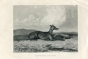 Animales. Dog. Greyhound and Hare