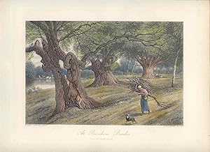 Estados Unidos. «At Burnham Beeches» Grabó Arthur Willmore (1814-1888) según obra de Birket Foster.