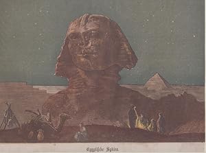 Orig. kolorierter Holzstich - Egyptische Sphinx.