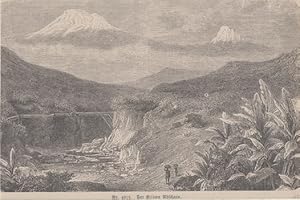 Orig. Holzstich - Der Kilima Ndscharo