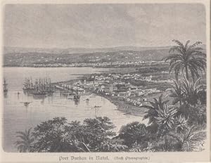 Orig. Holzstich - Port Durban in Natal.