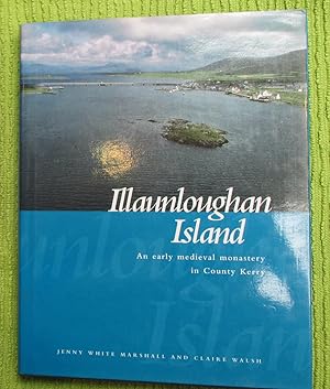 Seller image for Illaunloughan Island: An Early Medieval Monastery in County Kerry for sale by Glenbower Books