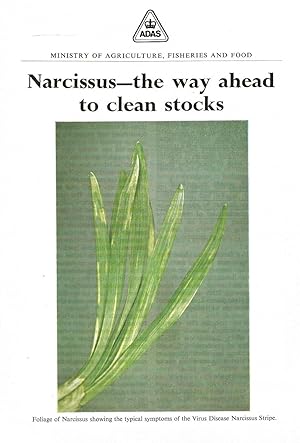 Immagine del venditore per Narcissus - The Way Ahead to Clean Stocks. Awareness Leaflet Hort. 1. venduto da C. Arden (Bookseller) ABA