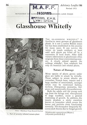 Bild des Verkufers fr Glasshouse Whitefly. Advisory Leaflet No. 86. zum Verkauf von C. Arden (Bookseller) ABA