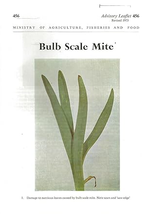 Bild des Verkufers fr Bulb Scale Mite. Advisory Leaflet No. 456. zum Verkauf von C. Arden (Bookseller) ABA